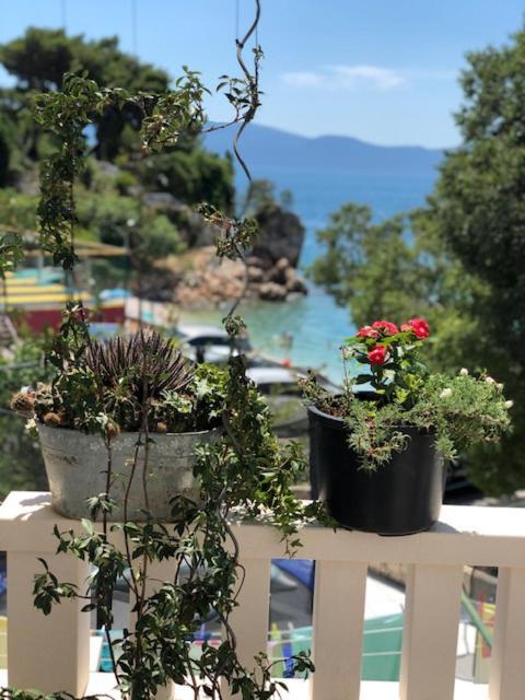 Villa Bosac Gradac  Exteriér fotografie